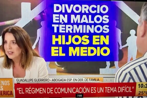 Divorcio en malos términos: Hijos en el medio